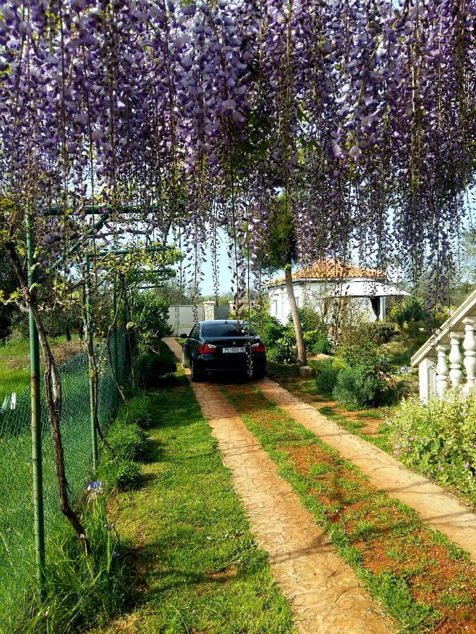Studio Apartman Vortex Fažana Dış mekan fotoğraf