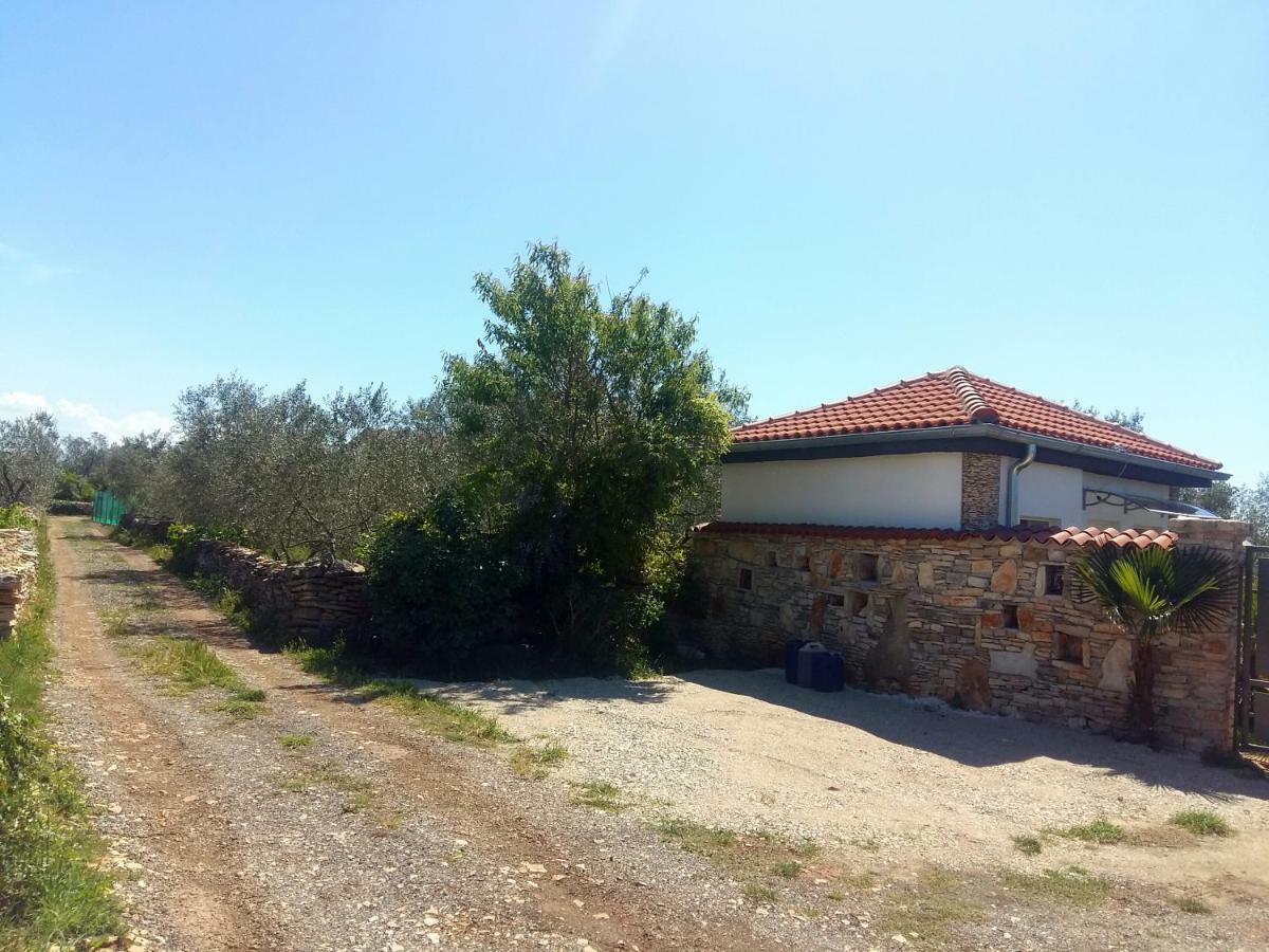 Studio Apartman Vortex Fažana Dış mekan fotoğraf